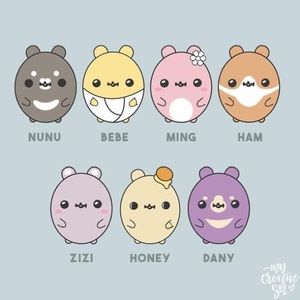 Meet your Posher, Hei-ran